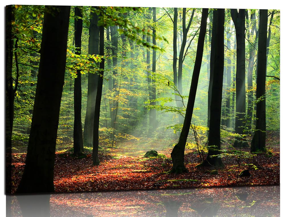 Nature Forest Canvas Wall Art — Green Tree Landscape Print for Living Room, Bedroom & Home Office